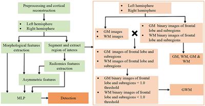 Enhanced focal cortical dysplasia detection in pediatric frontal lobe epilepsy with asymmetric radiomic and morphological features